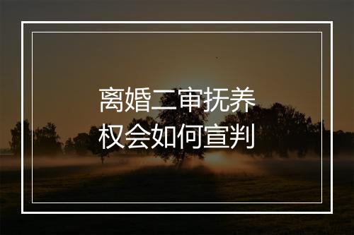 离婚二审抚养权会如何宣判