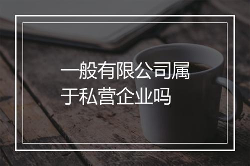一般有限公司属于私营企业吗
