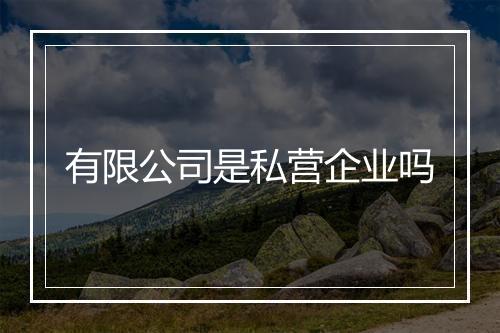 有限公司是私营企业吗