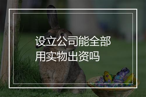 设立公司能全部用实物出资吗