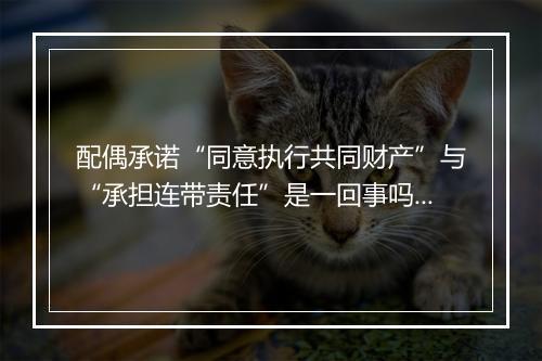 配偶承诺“同意执行共同财产”与“承担连带责任”是一回事吗？