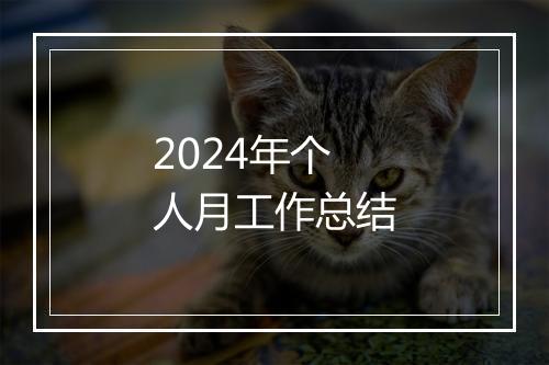 2024年个人月工作总结