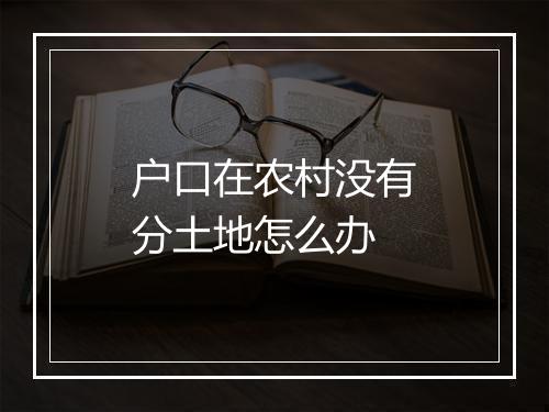 户口在农村没有分土地怎么办