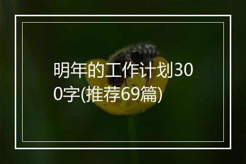 明年的工作计划300字(推荐69篇)