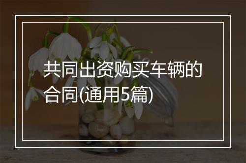 共同出资购买车辆的合同(通用5篇)