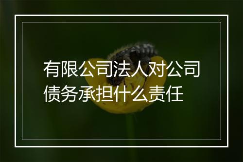 有限公司法人对公司债务承担什么责任