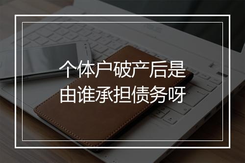 个体户破产后是由谁承担债务呀