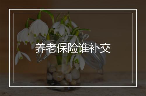 养老保险谁补交