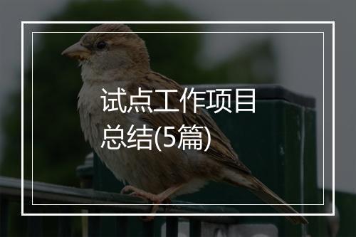 试点工作项目总结(5篇)
