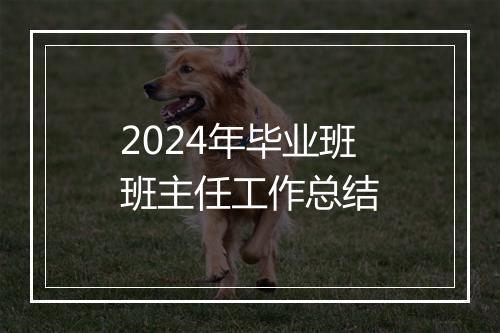 2024年毕业班班主任工作总结