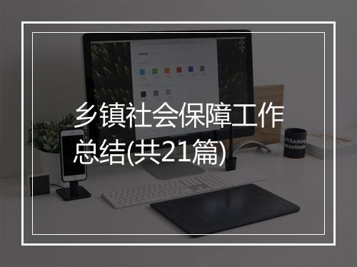 乡镇社会保障工作总结(共21篇)