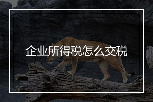 企业所得税怎么交税
