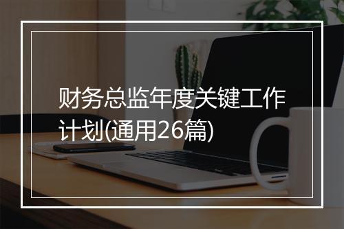 财务总监年度关键工作计划(通用26篇)