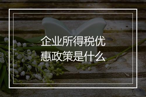 企业所得税优惠政策是什么
