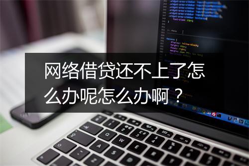 网络借贷还不上了怎么办呢怎么办啊？