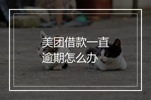 美团借款一直逾期怎么办