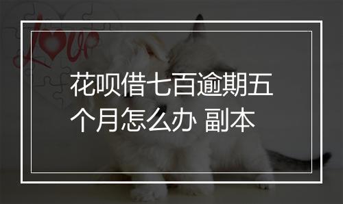 花呗借七百逾期五个月怎么办 副本