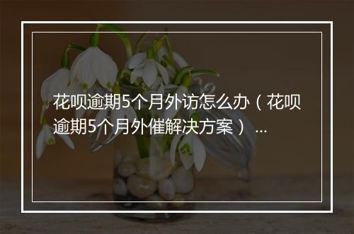 花呗逾期5个月外访怎么办（花呗逾期5个月外催解决方案） 副本