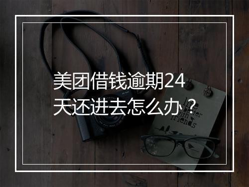 美团借钱逾期24天还进去怎么办？
