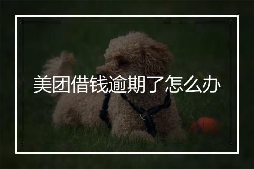 美团借钱逾期了怎么办