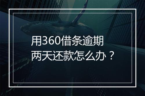 用360借条逾期两天还款怎么办？