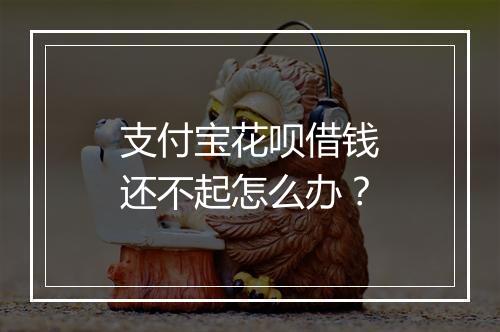 支付宝花呗借钱还不起怎么办？
