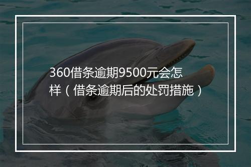 360借条逾期9500元会怎样（借条逾期后的处罚措施）