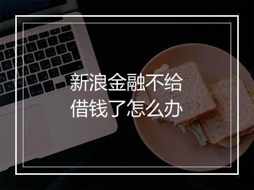 新浪金融不给借钱了怎么办