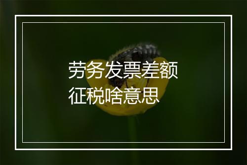 劳务发票差额征税啥意思