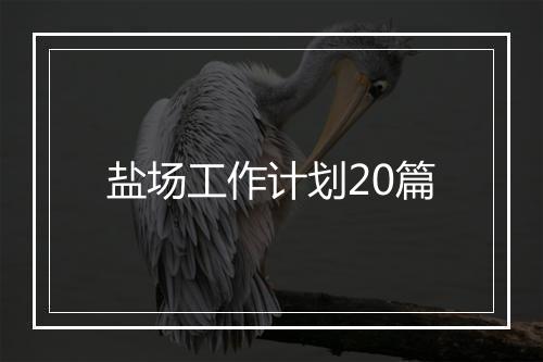 盐场工作计划20篇