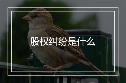 股权纠纷是什么