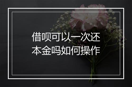 借呗可以一次还本金吗如何操作