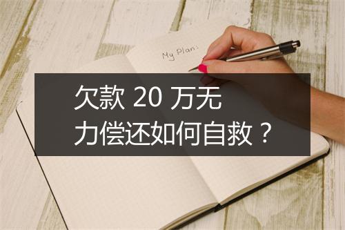欠款 20 万无力偿还如何自救？