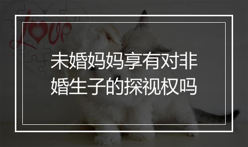 未婚妈妈享有对非婚生子的探视权吗