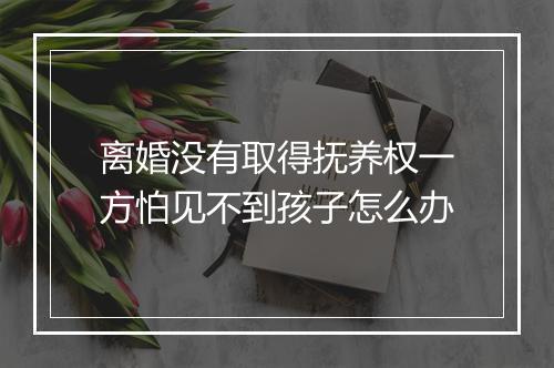 离婚没有取得抚养权一方怕见不到孩子怎么办
