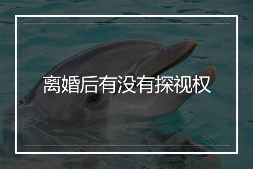 离婚后有没有探视权