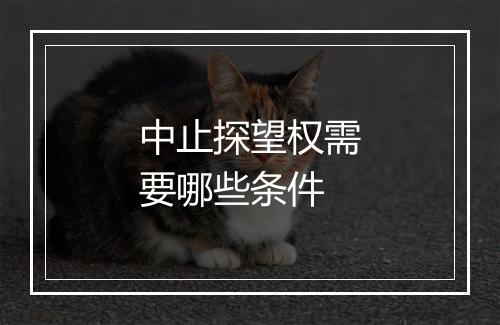中止探望权需要哪些条件