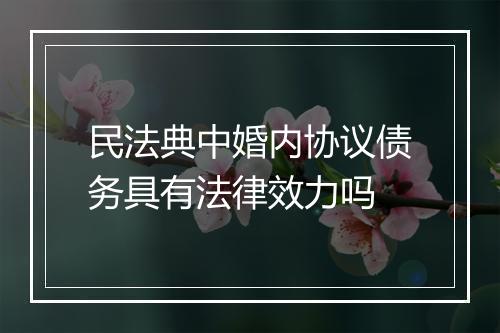 民法典中婚内协议债务具有法律效力吗