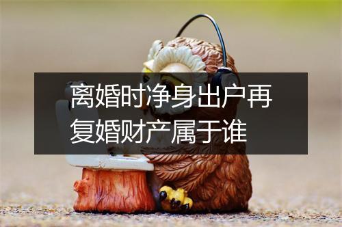 离婚时净身出户再复婚财产属于谁