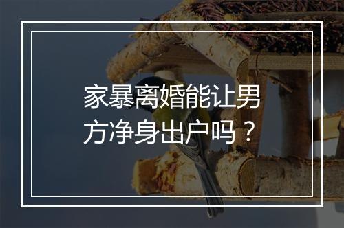 家暴离婚能让男方净身出户吗？