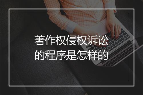 著作权侵权诉讼的程序是怎样的