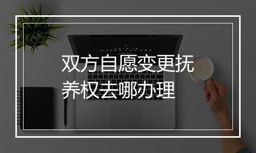 双方自愿变更抚养权去哪办理