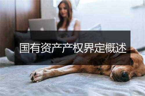 国有资产产权界定概述