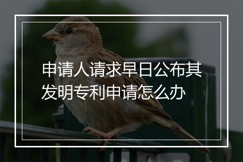 申请人请求早日公布其发明专利申请怎么办
