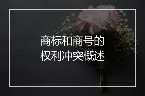 商标和商号的权利冲突概述