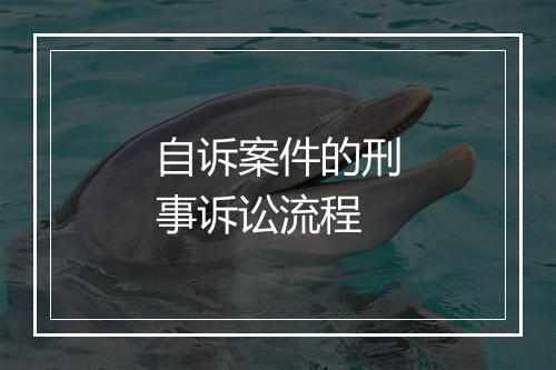 自诉案件的刑事诉讼流程