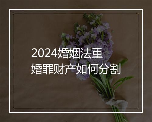 2024婚姻法重婚罪财产如何分割