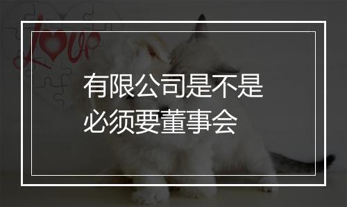 有限公司是不是必须要董事会