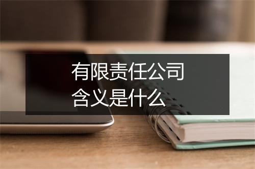 有限责任公司含义是什么