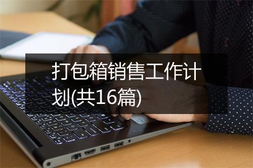 打包箱销售工作计划(共16篇)